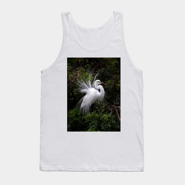 On Display - Great Egret Tank Top by Jim Cumming